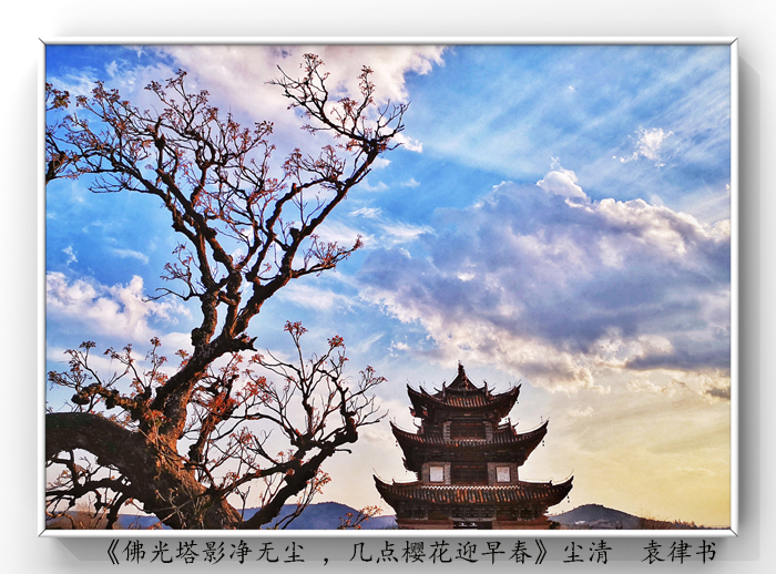 025《佛光塔影凈無塵 ，幾點(diǎn)櫻花迎早春》.jpg